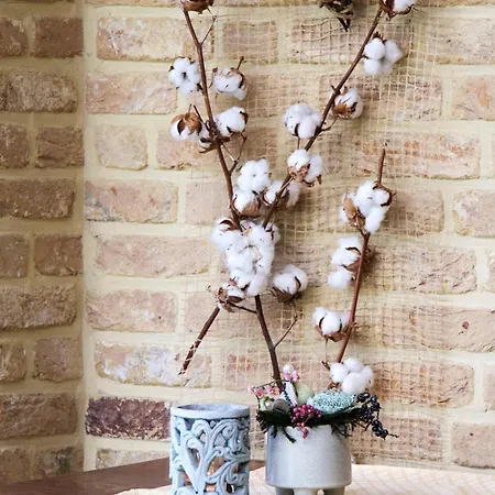 Hotel Grand Monopole